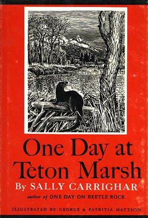 One Day at Teton Marsh