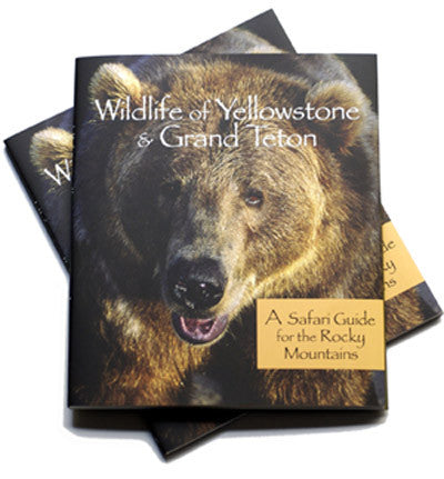 WILDLIFE OF YELLOWSTONE & GRAND TETON