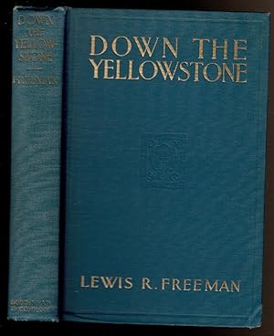 Down the Yellowstone