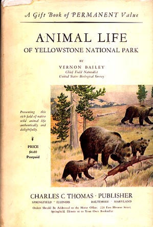 Animal Life of Yellowstone National Park