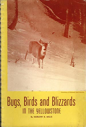 Bugs, Birds and Blizzards in the Yellowstone