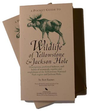 WILDLIFE OF YELLOWSTONE & JACKSON HOLE