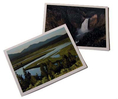 YELLOWSTONE BOXED CARDS