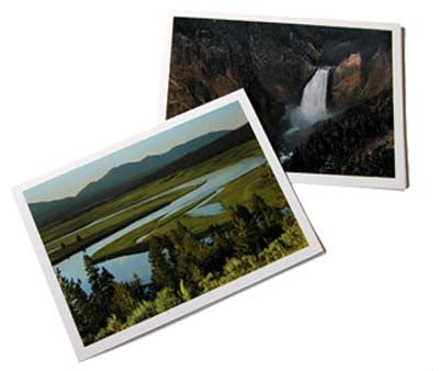 YELLOWSTONE NOTECARDS